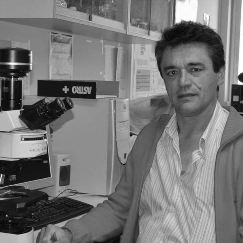 Manuel Ángel Pombal “Peque” Doutor en Bioloxía - Membro da Asc. Naturalista do Baixo Miño (ANABAM)